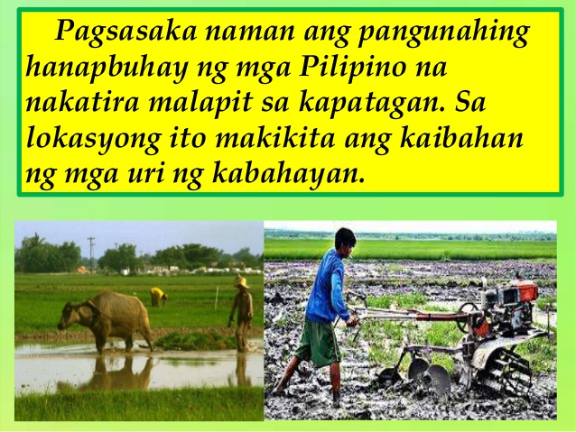mga hayop sa bahay at komunidad pdf